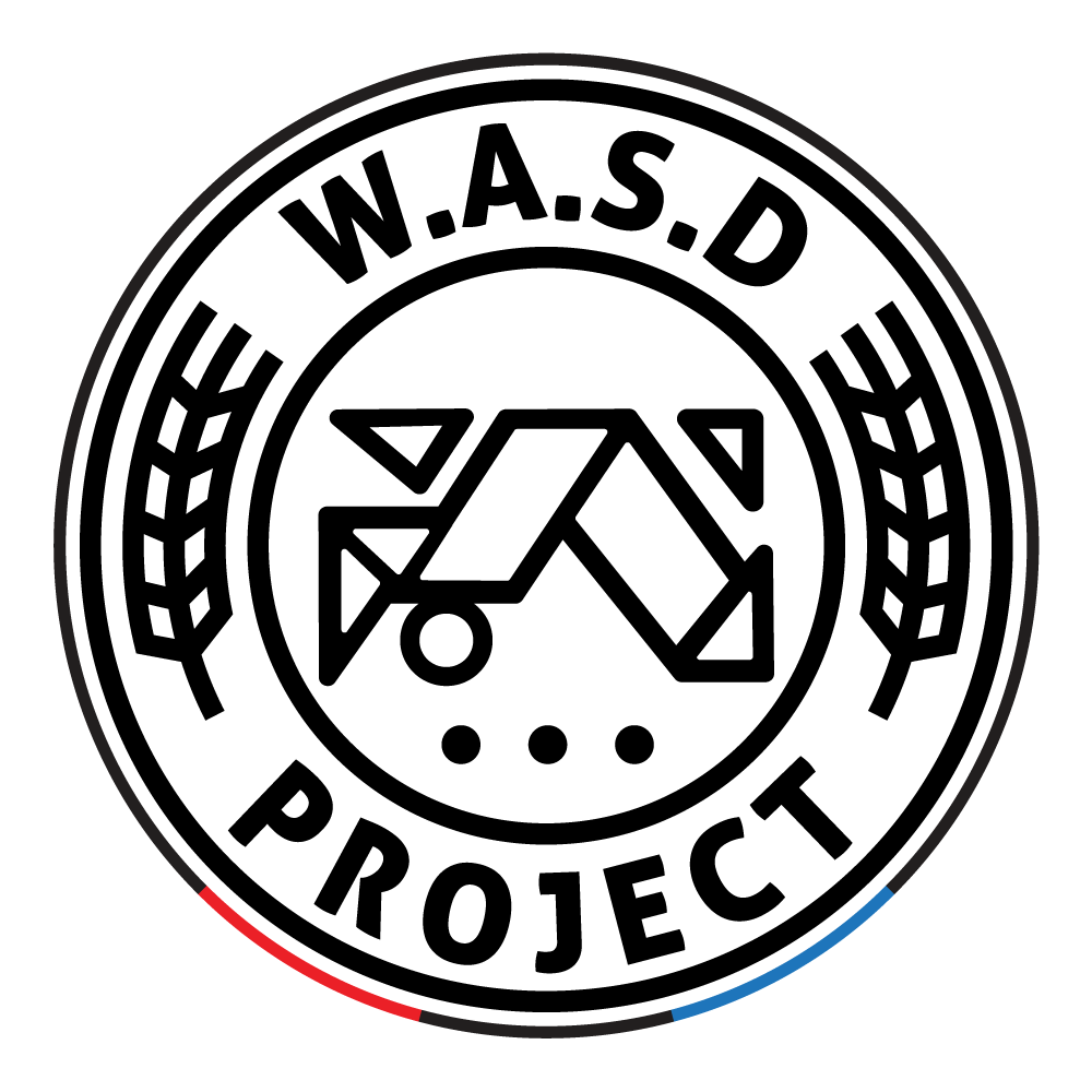 wasd_project